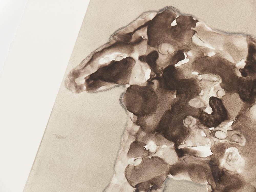 Jaune Quick-to-See Smith, Esta Feliz y Bien Vigoroso, 2003 (03-507.12) - Image 3