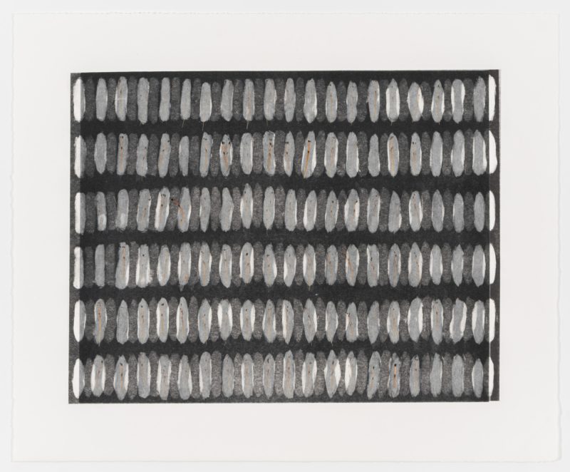 Judy Tuwaletstiwa, text.cocoon 1, 2025 (25-501.13)