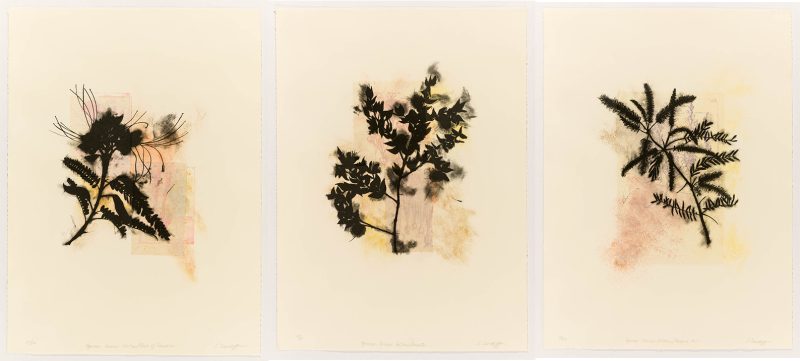 Davidoff 3 print series
