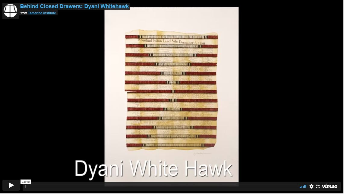 Dyani White Hawk