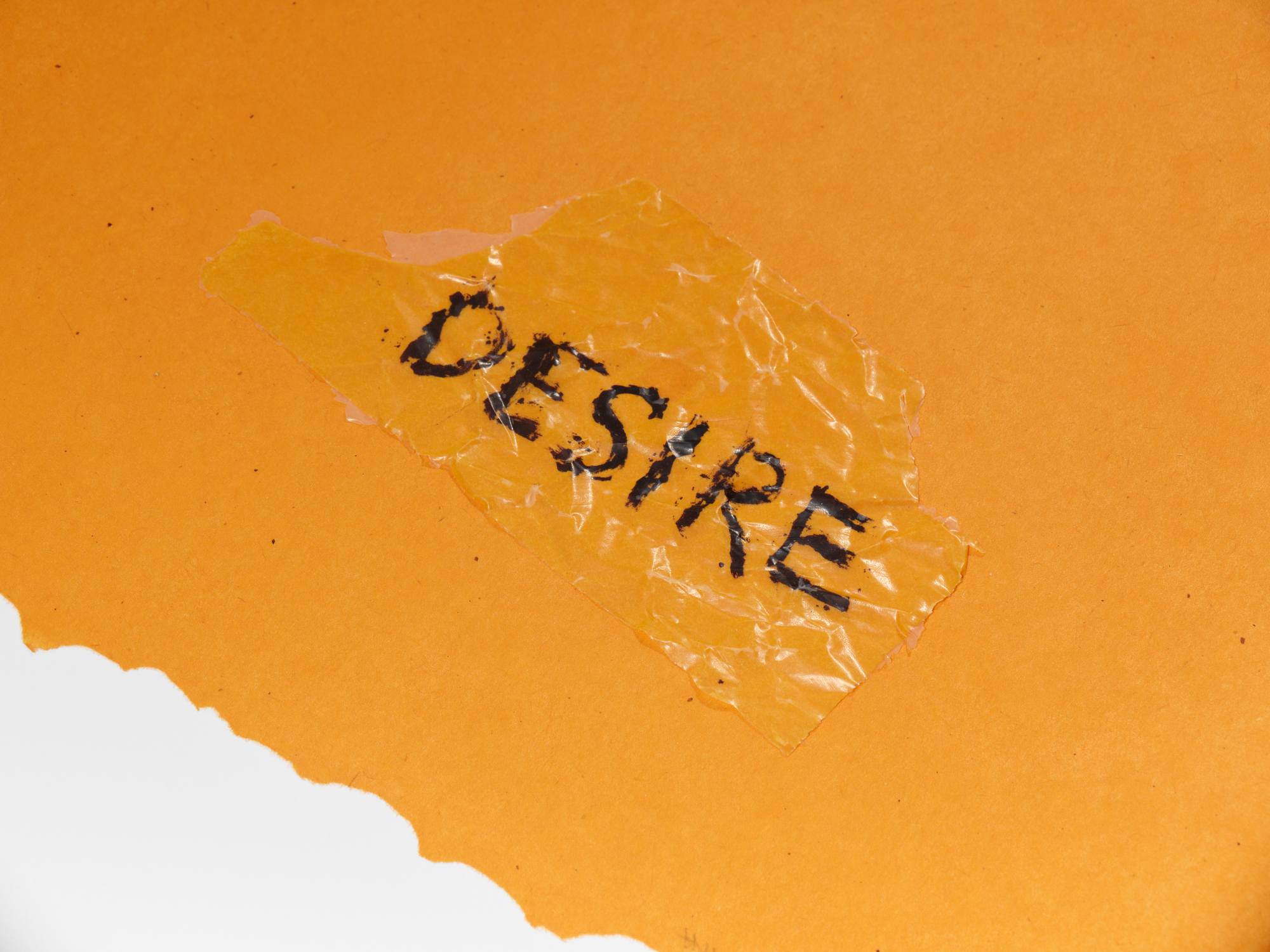 Harmony Hammond, Big Desire, 2024 (24-318) - Image 2