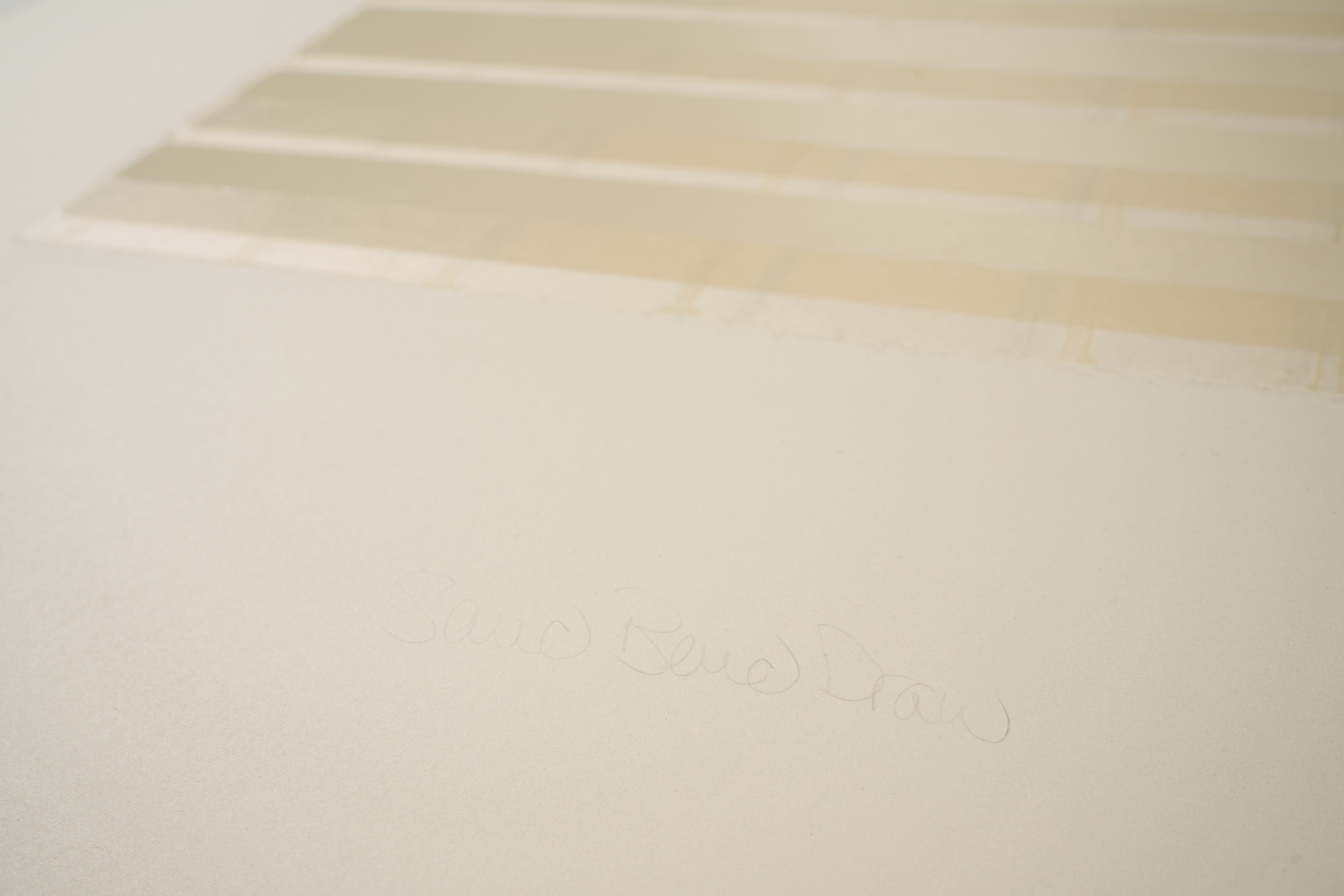 Johnnie Winona Ross, Sand Bend Draw, 2006 (06-303) - Image 3