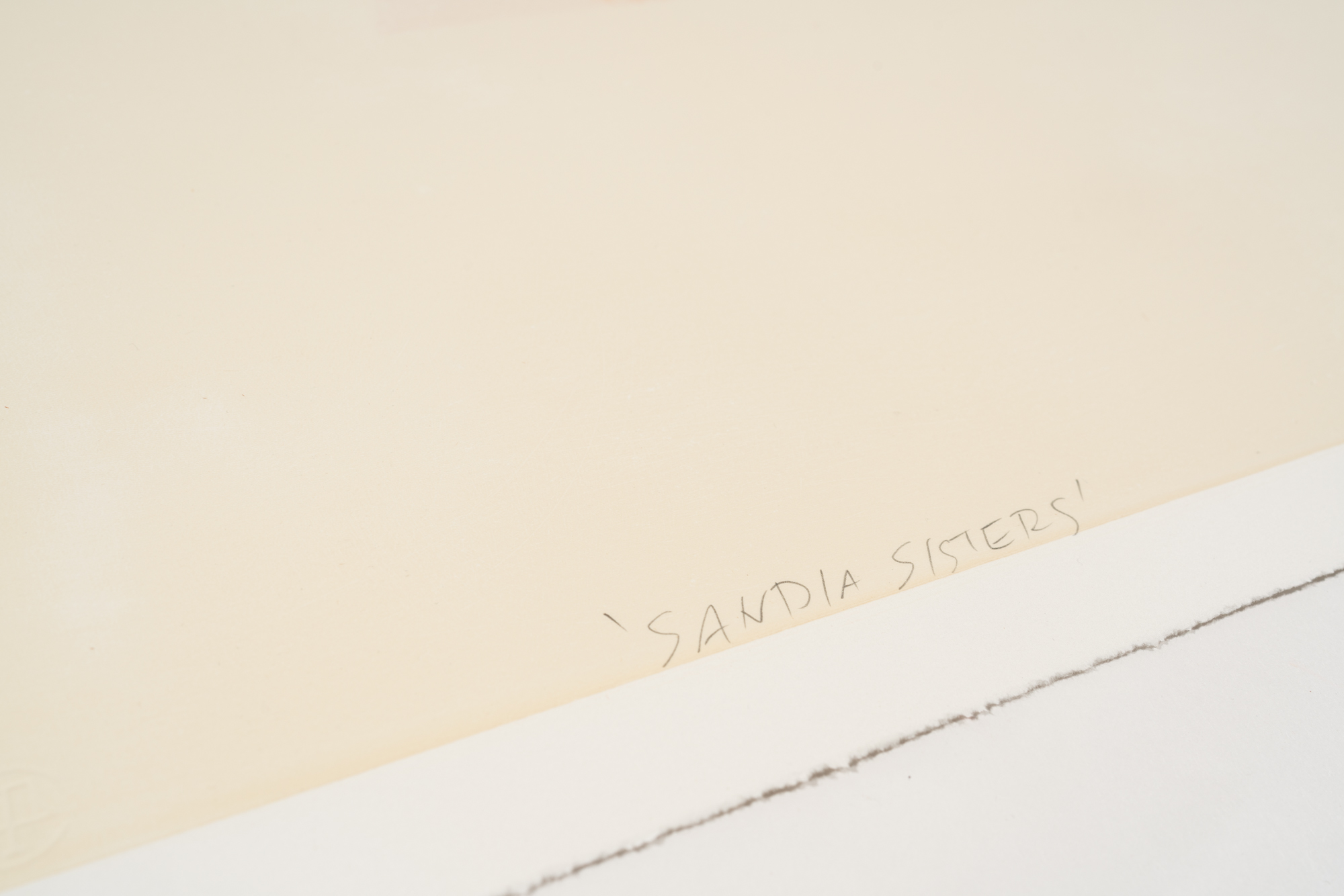 Linda Linko, Sandia Sisters (1) and (2), 2024 (24-513.16, 24-513.17) - Image 6