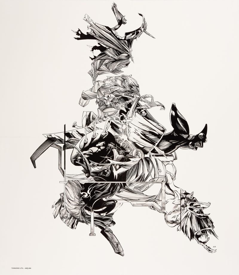 Aaron Noble, Chanticleer (Black), 2018 (18-322a)