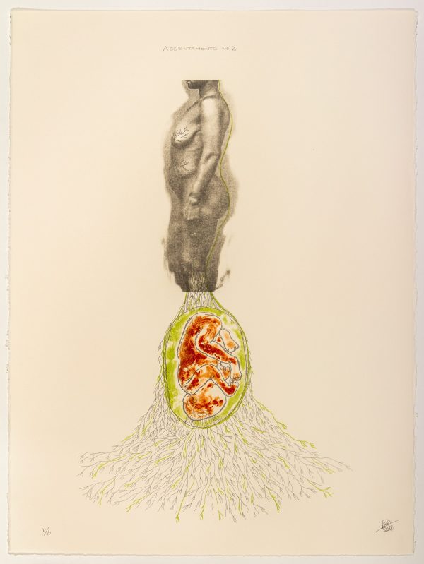 Two-color lithograph by Rosana Paulino. 