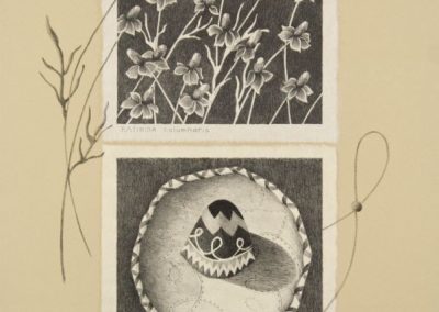 Beverley Magennis