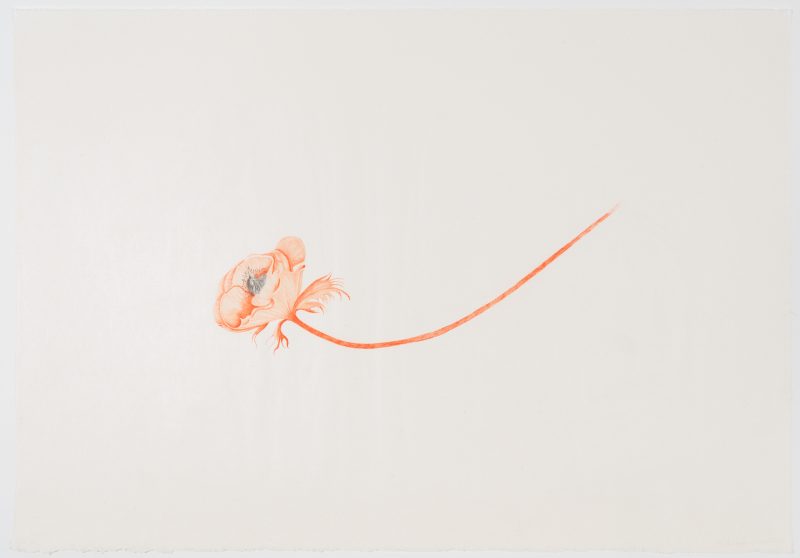 Valerie Hammond, Little Bird, 2011 (11-305)