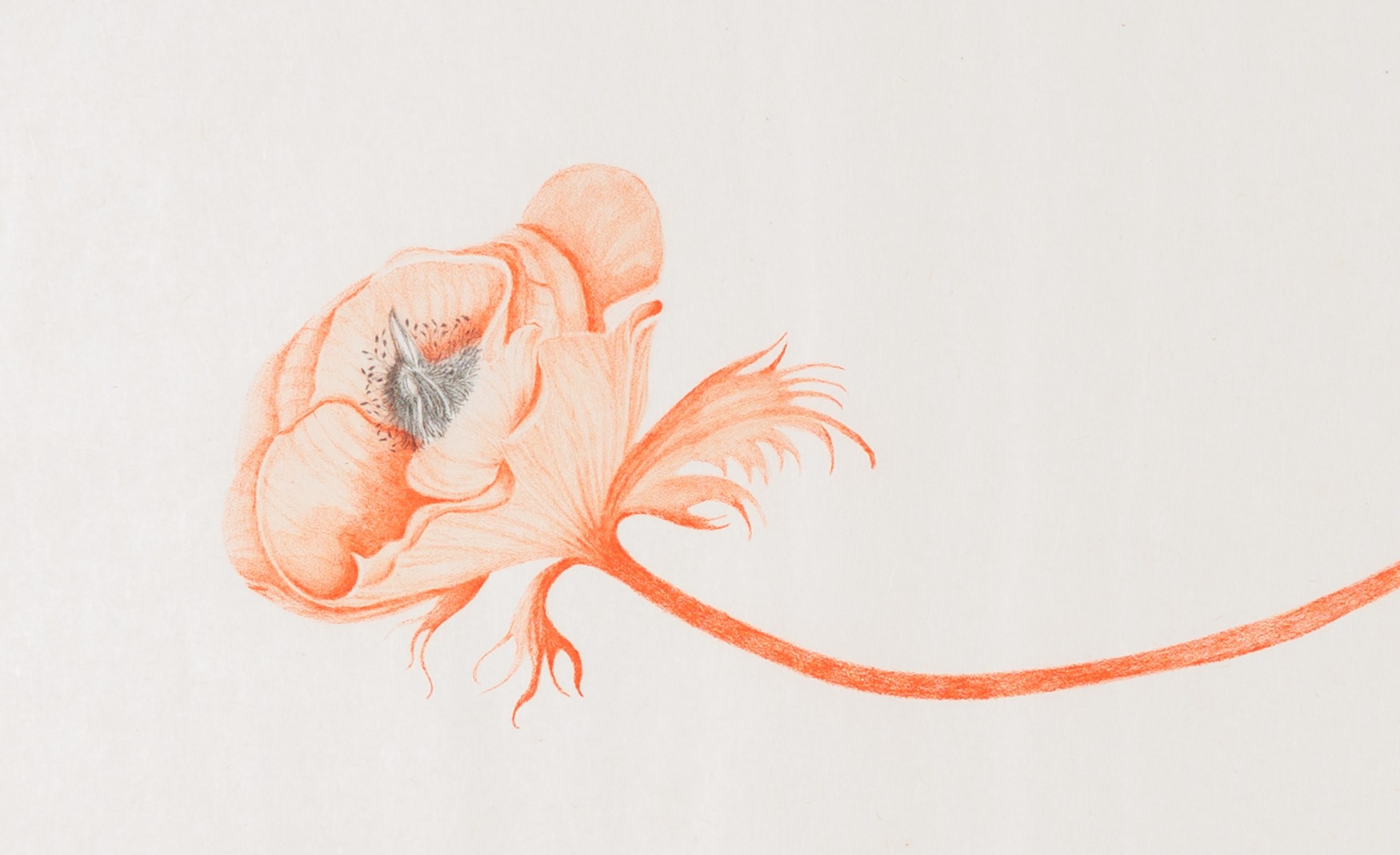Valerie Hammond, Little Bird, 2011 (11-305) - Image 2