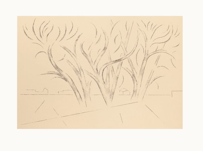 Andrew Dasburg, Trees in Ranchitos III, 1975 (75-650b)