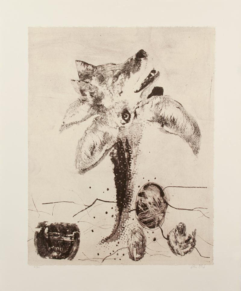 Duane Slick, The Coyote Flower: Polka-dot Faboo, 1993 (93-329)