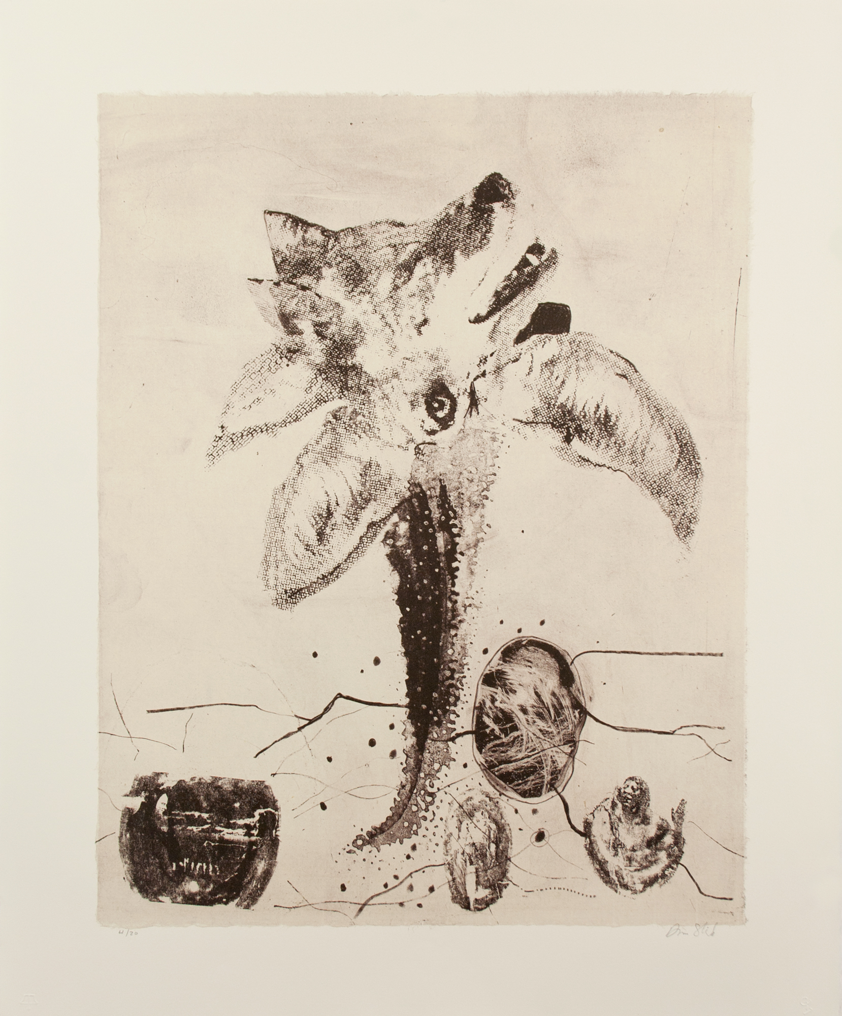 Duane Slick, The Coyote Flower: Polka-dot Faboo, 1993 (93-329)