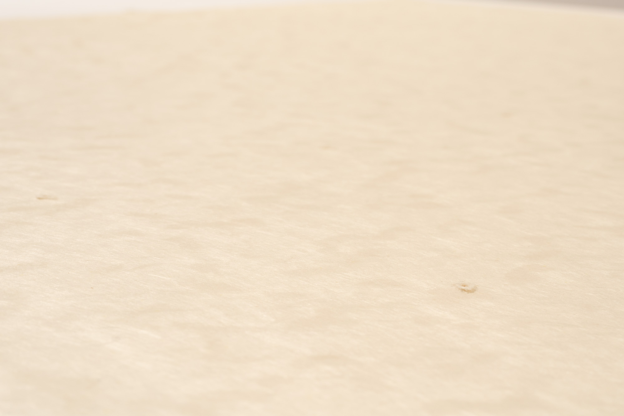 Harmony Hammond, Open Book I, 2024 (24-320) - Image 5