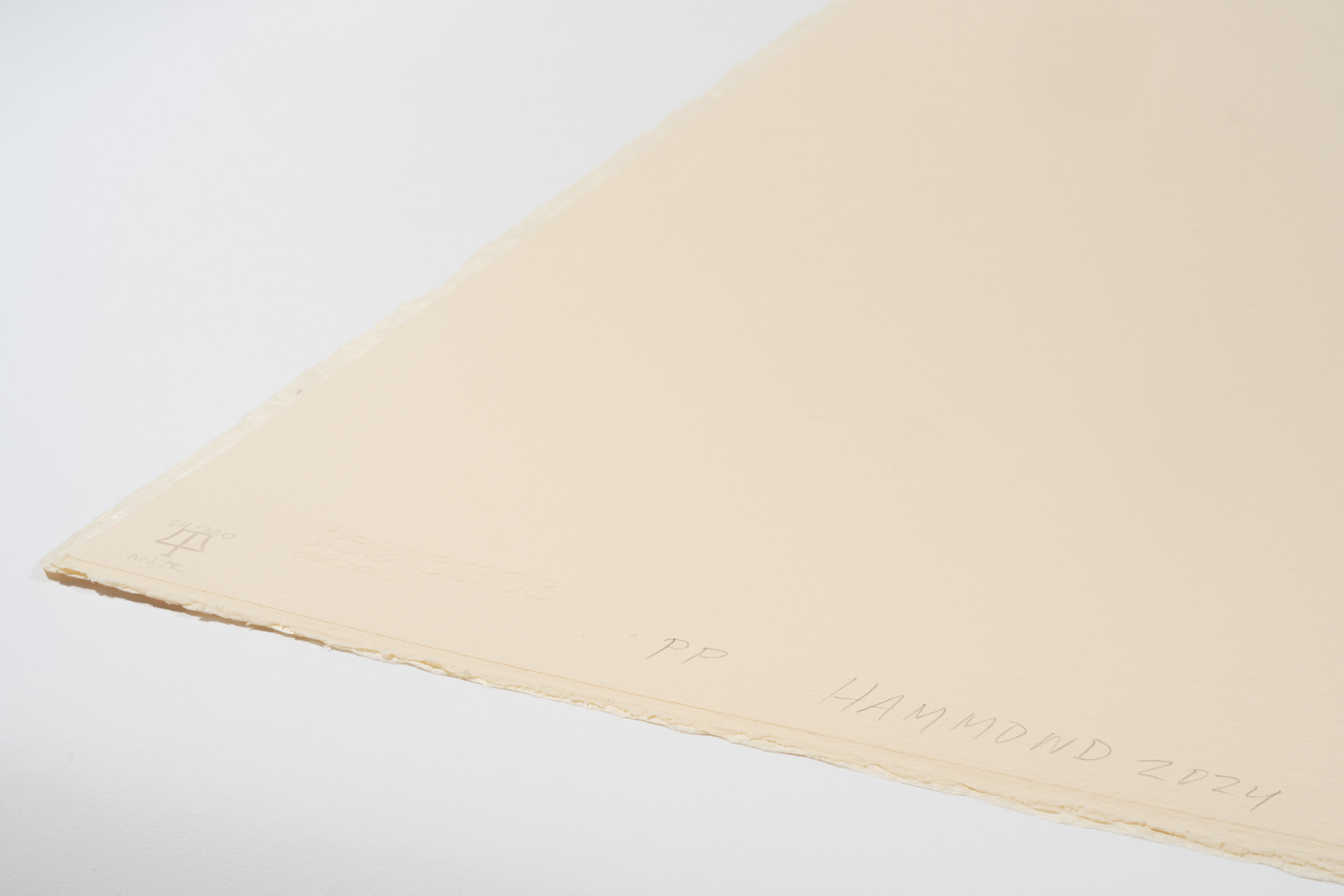 Harmony Hammond, Open Book I, 2024 (24-320) - Image 8