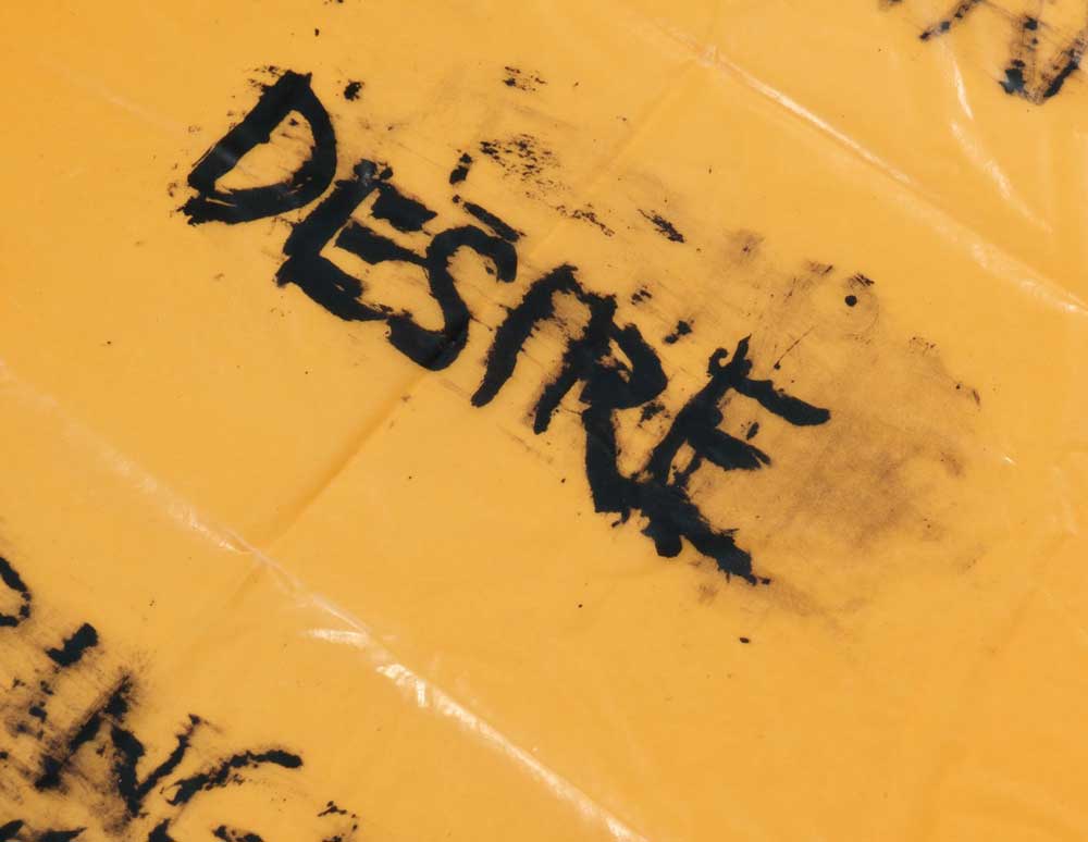 Cropped image of Harmony Hammond's Desire work