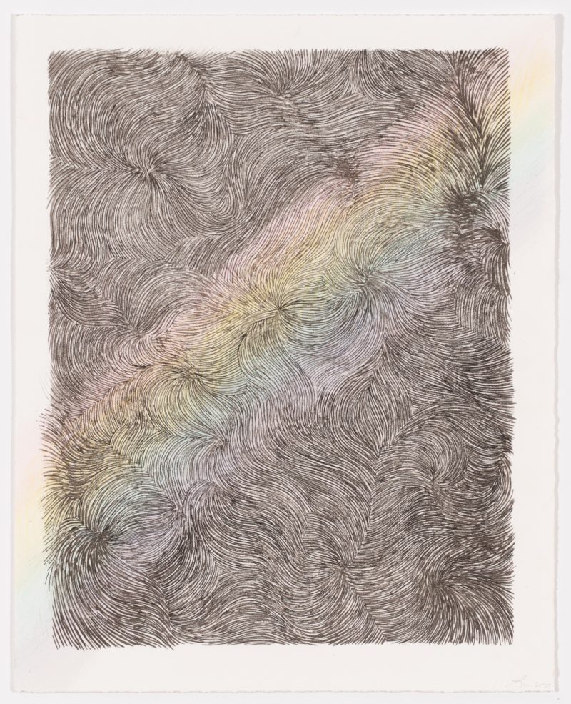 linn meyers, Untitled, 2025 (25-502.7)