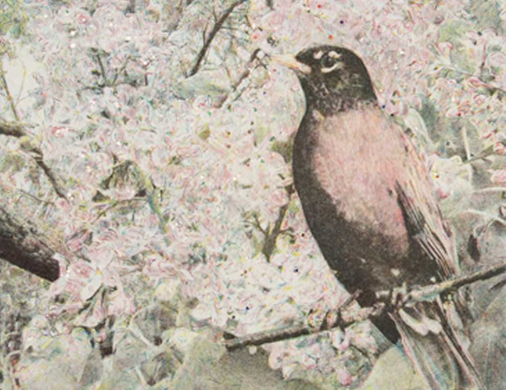 Detail of Lithograph by Kiki Smith